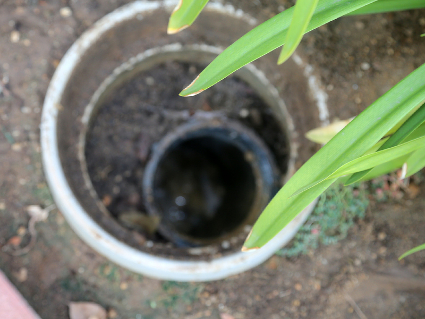 Backed Up Sewer Line Repair Sacramento Ca Taylor Plumbing